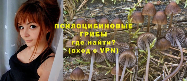 эйфоретик Алексин