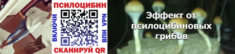 Купить где  Брянск  Псилоцибиновые грибы GOLDEN TEACHER 